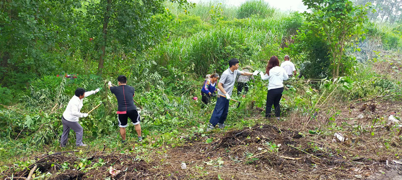 1596765272966265.jpg 突擊隊(duì)員在城根村防汛一線清除雜草_副本.jpg